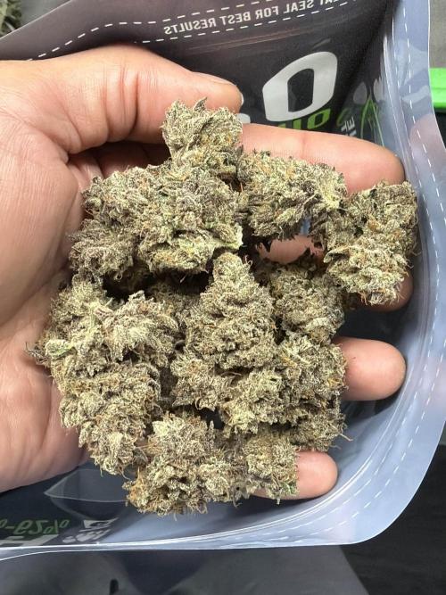 Lord of the Runtz - Mephisto Genetics. Week 12