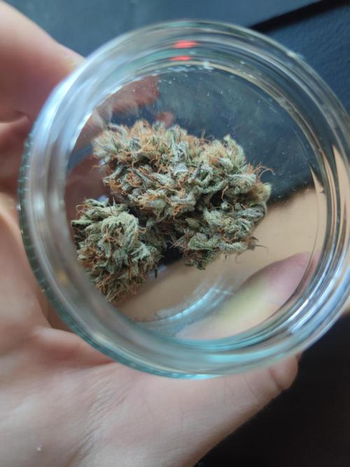 Mephisto test #2. Week 9 - Nach ca 2 Moanten curing