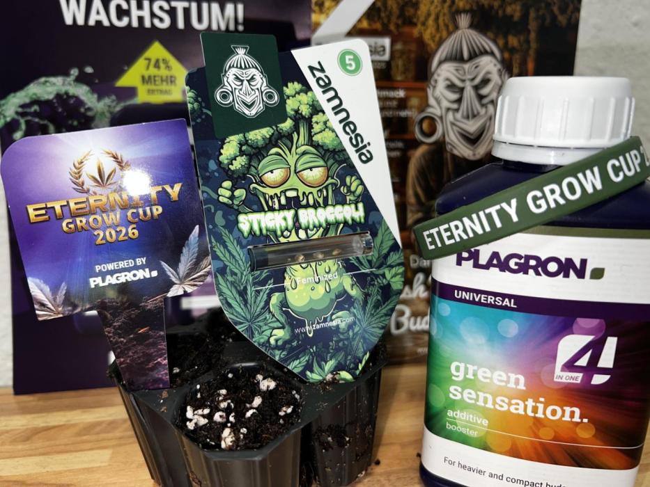 Sticky Broccoli Eternity Grow Cup 2026. Week 0 - Keimung in Ausgwaschenem Biobizz All mix 
