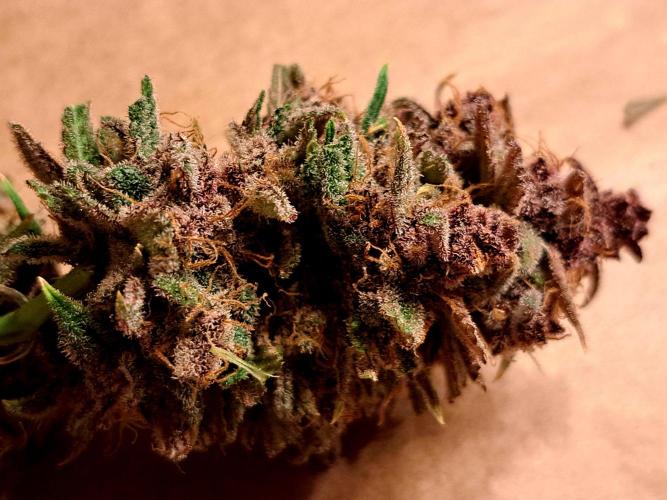 Red Hot Cookies by sweet seeds. Week 21