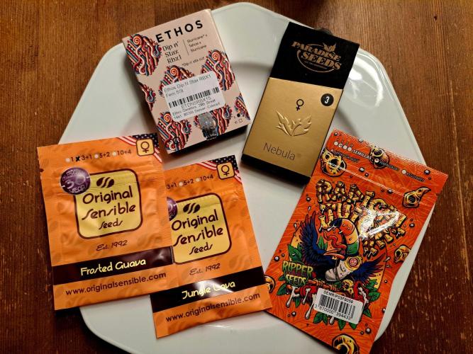 Project Ethos Genetics. Week 0