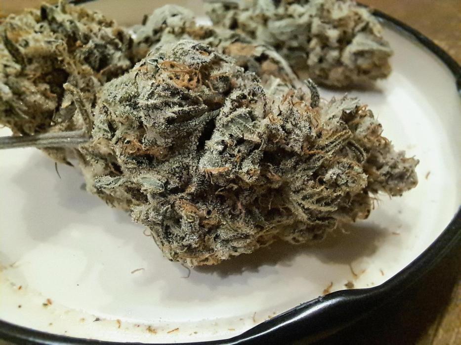 Frozen cherry runtz - Growers Choice. Week 22