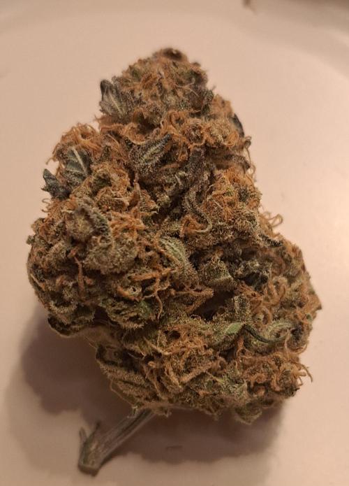 Sweet Cherry Pie by sweet seeds. Week 21