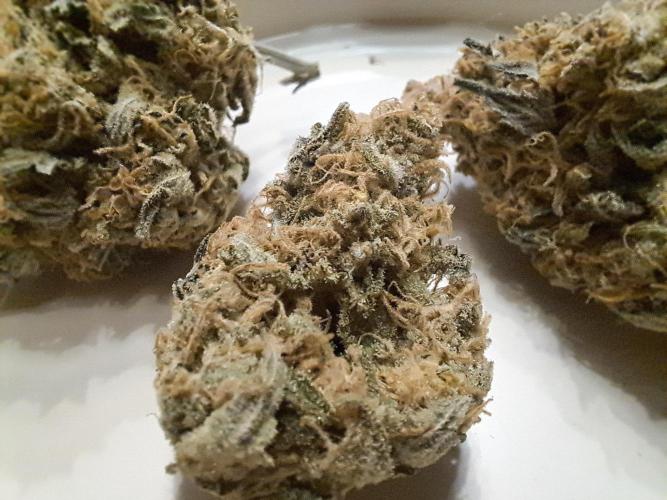 Sweet Cherry Pie by sweet seeds. Week 21