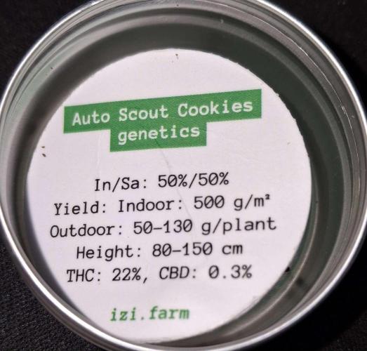 Berry Bomb Basement. Week 0 - 25.12.25  