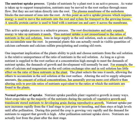 The Garden 2026-1 - HSC Mountaintop Mint. Week 8