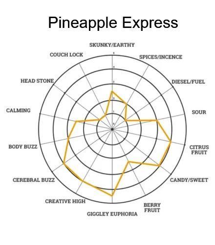 Garden 2026-2 - MSNL Pineapple Express. Week 0