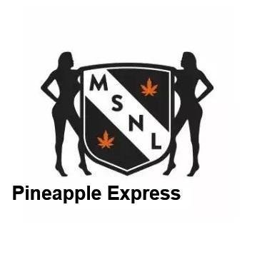 Garden 2026-2 - MSNL Pineapple Express. Week 0