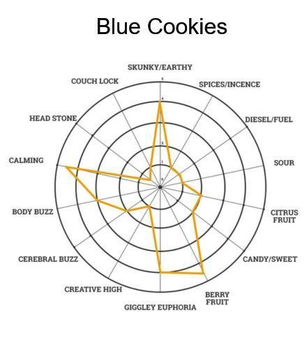 The Garden 2026-2 - MSNL Blue Cookies. Week 0