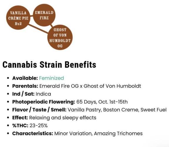 The Garden 2026-2- HSC Vanilla Creme Pie. Week 0