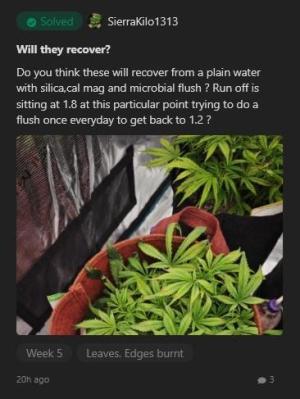 Comment by 00110001001001111O photo #1