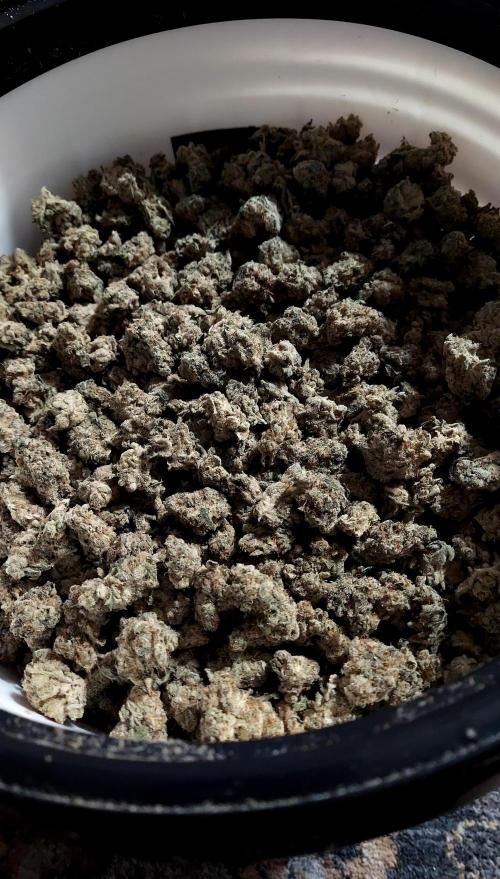 Bubble Hash 2026. Week 1 - Bucket of 1-1.25 year old buds