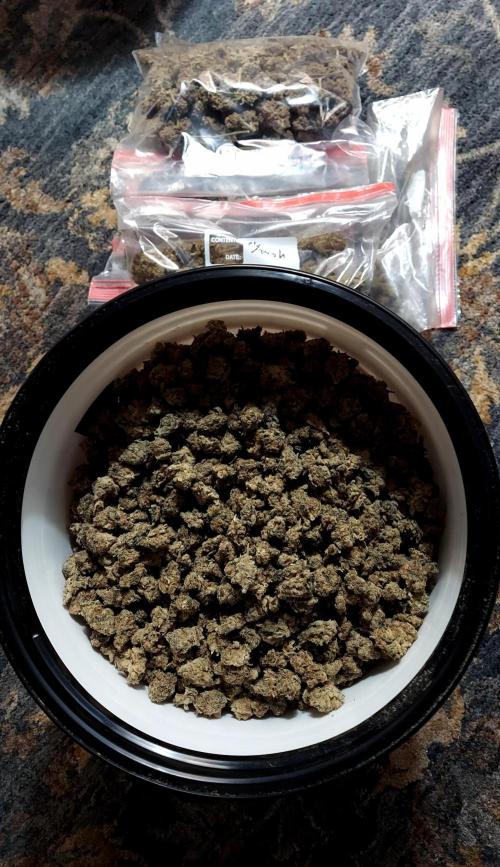 Bubble Hash 2026. Week 1 - Bucket of 1-1.25 year old buds