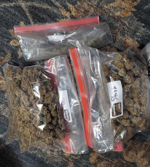 Bubble Hash 2026. Week 1 - 2+ year old buds poorly stored.