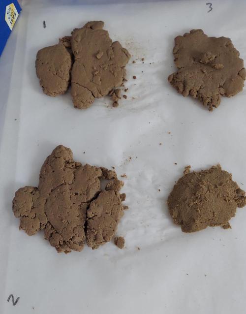 Bubble Hash 2026. Week 1 - All 4 - 3h06m total wash time.
