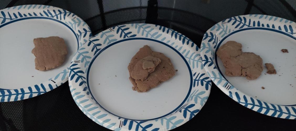 Bubble Hash 2026. Week 1 - Second batch pucks by wash - 1-2-3