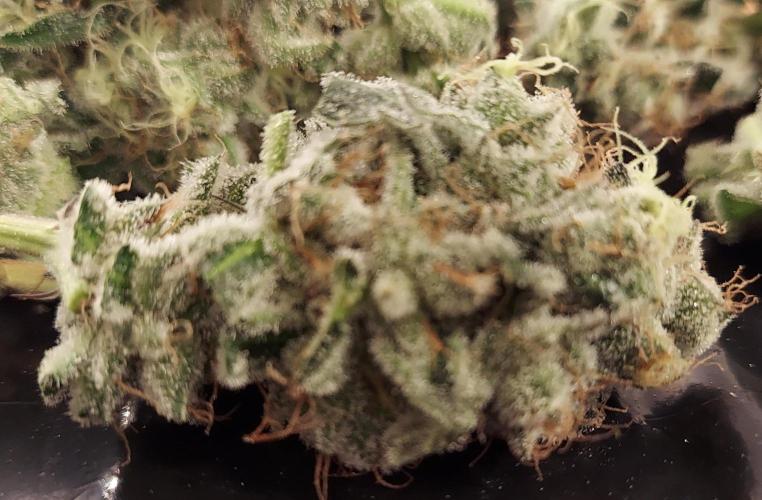The Garden 2026-2-MSNL Pineapple Express. Week 15 - PE2