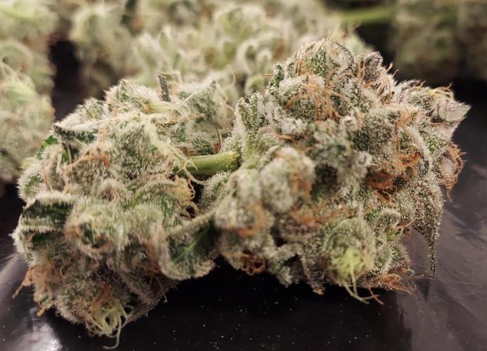 Pineapple Express. Week 15