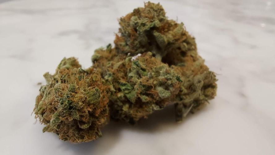 The Garden 2022 - Blueberry Muffin. Week 15