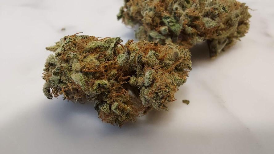The Garden 2022 - Blueberry Muffin. Week 15