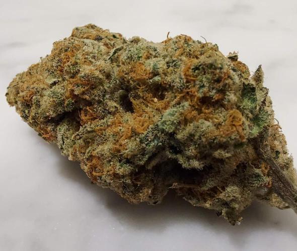 The Garden 2022 - LA Peyote Kush. Week 14