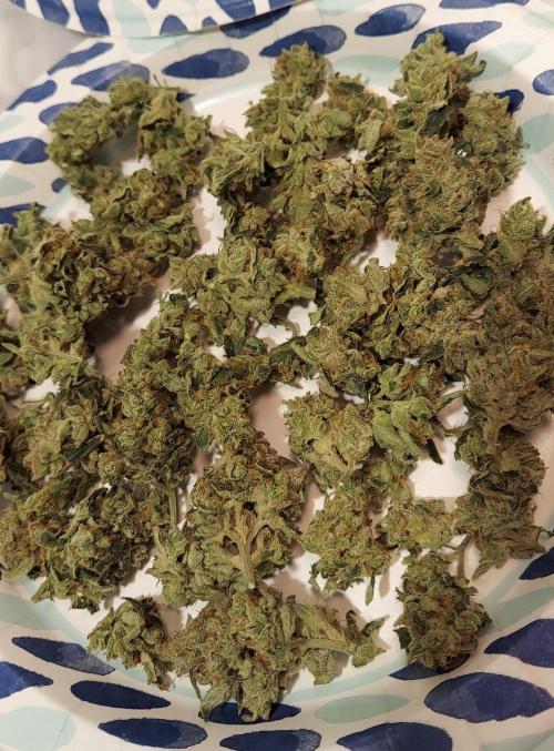 The Garden 2022 - Buttermilk Biscuits. Week 8