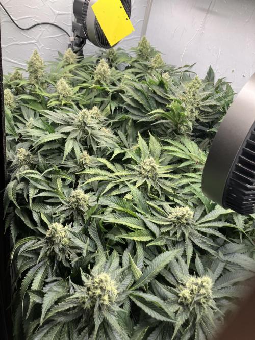 Power Plant. Week 14