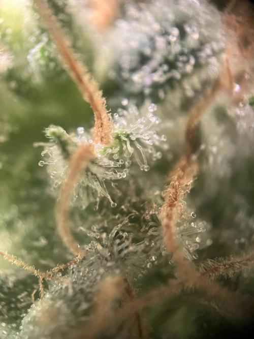 Power Plant. Week 15