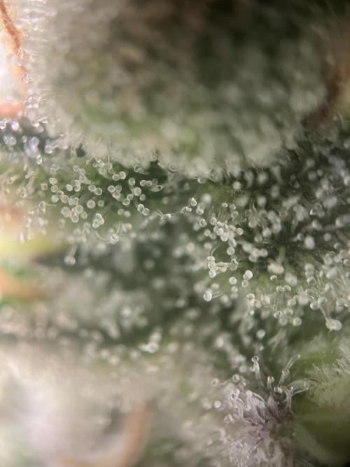 Power Plant. Week 15