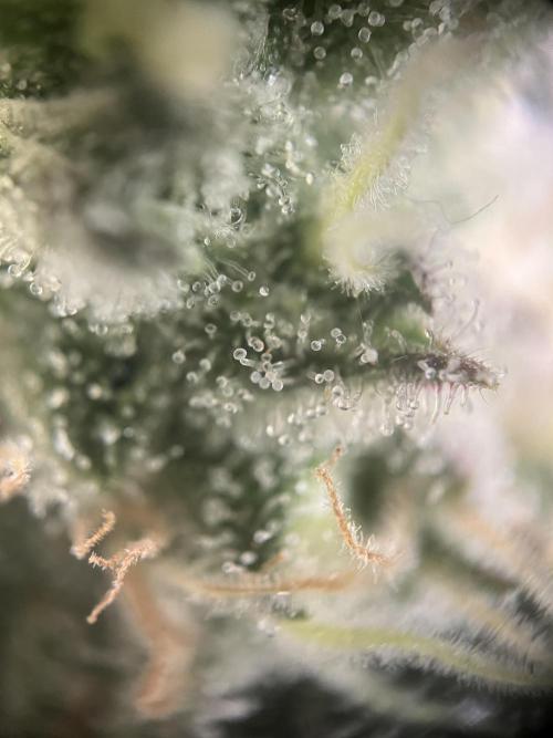 Power Plant. Week 15