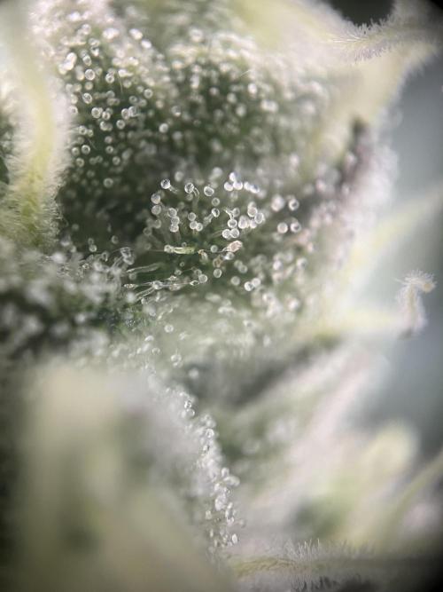 Power Plant. Week 15