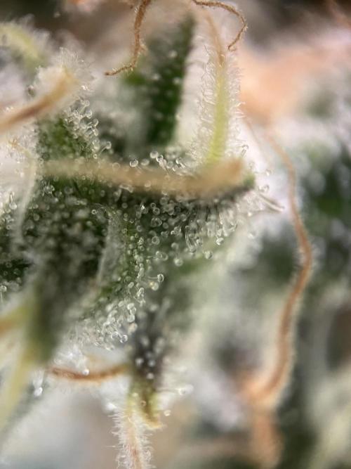 Power Plant. Week 15