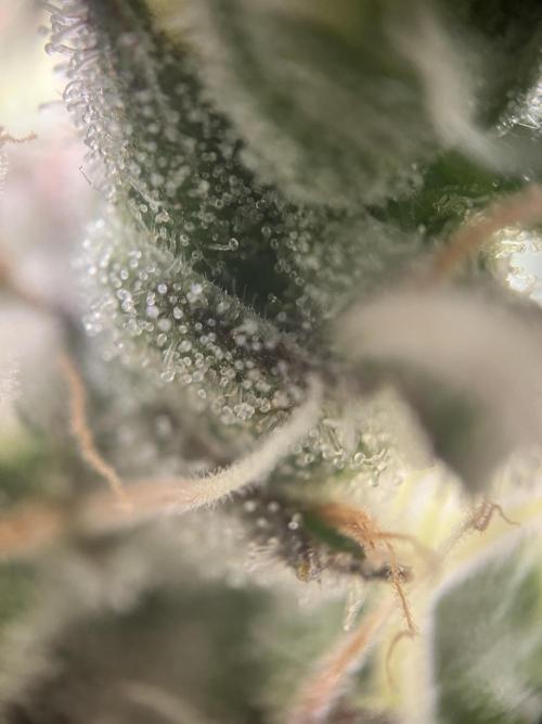 Power Plant. Week 15