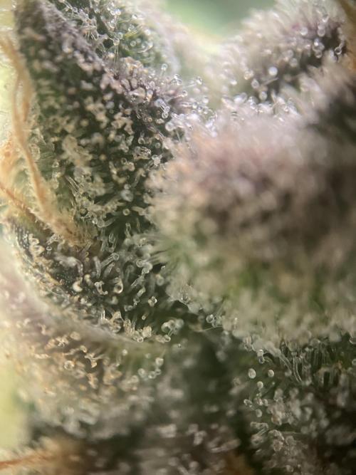 Power Plant. Week 15