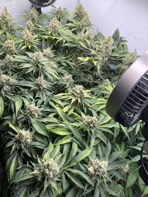 Power Plant. Week 16