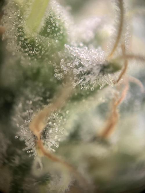 Power Plant. Week 16