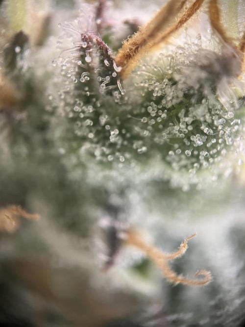 Power Plant. Week 16