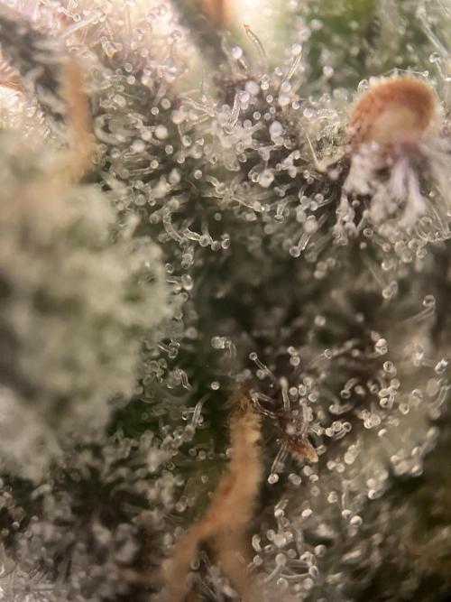 Power Plant. Week 16