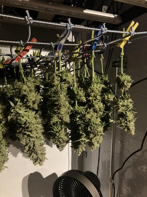 Power Plant. Week 17