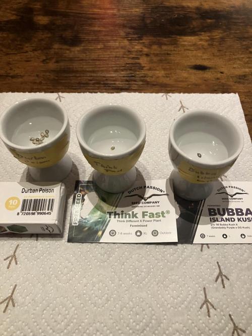 Durban Poison & 2 Freebies. Week 0