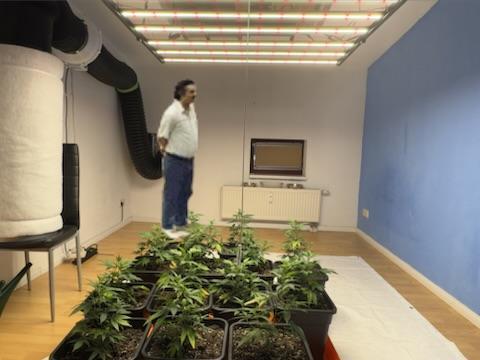 First Run in a "real" Grow Room (ish). Week 3