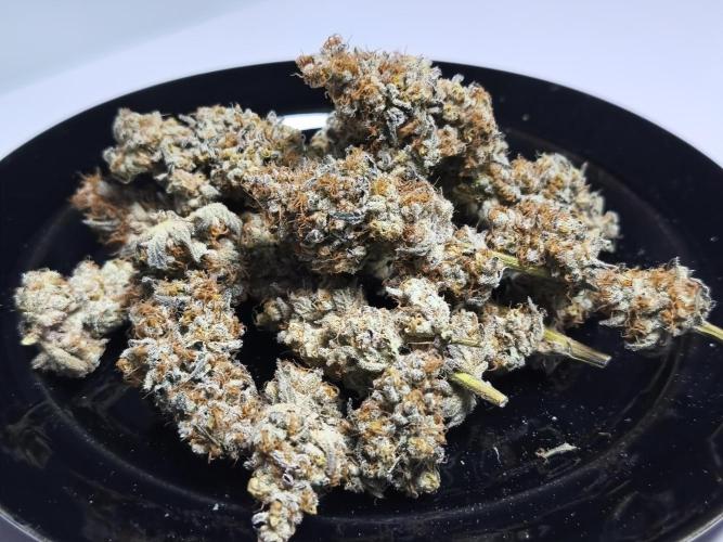 Peach Pistols #16 from clones indoor. Week 14
