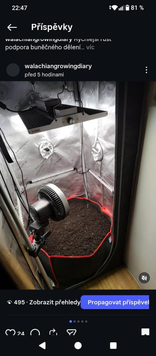 PineaplePuckerSolfireGardensLivingSoil. Week 1 - New 200l bag of living soil mix 