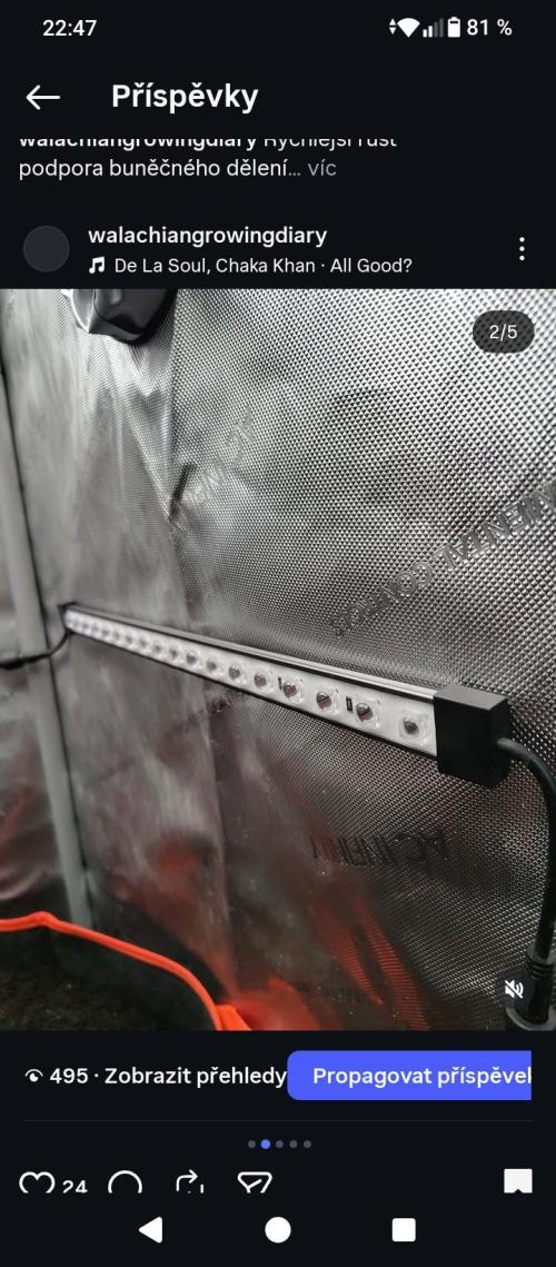 PineaplePuckerSolfireGardensLivingSoil. Week 1 - Side/under light Ionbeam s16 AC Infinity 
