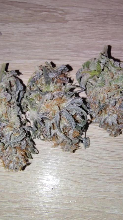24K GOLD DNA GENETICS LIVING SOIL
