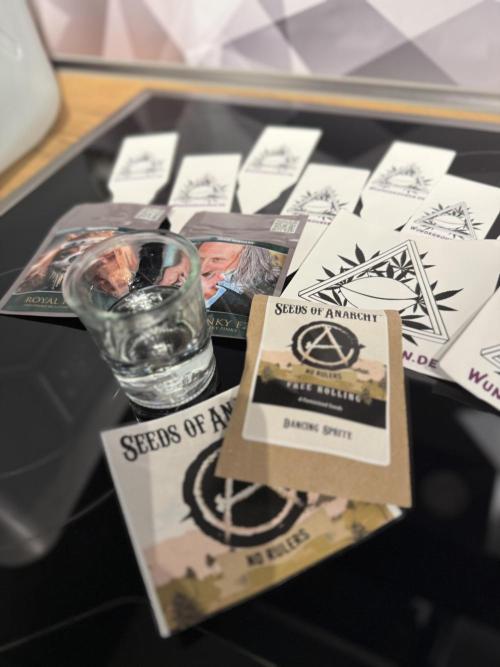 Seeds of Anarchy - Dancing Spirit. Week 0 - 01.01.2026