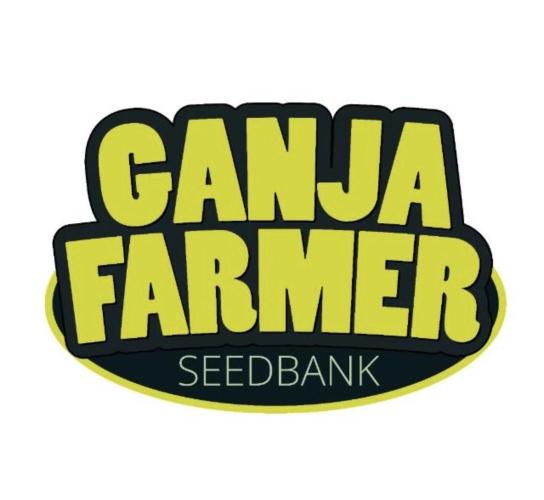 RS11 Ganjafarmer CCG B. Week 1 - Seeds ✌️💚