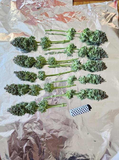 White window XXL. Week 13 - Big flowers