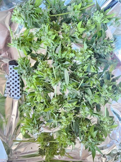 White window XXL. Week 13 - Trim and small flowers