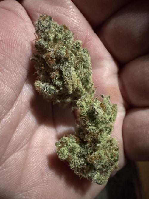 Gelato41#SMASH. Week 14